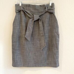 NWOT Ann Taylor Grey Lined  Pencil Skirt Size 14P Career Business Zipper Back